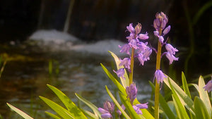 Erlebnismodul Frühling & Sommer