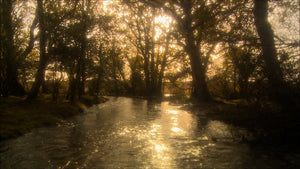 Erlebnismodul Herbst & Winter