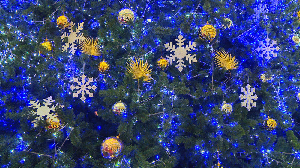 Erlebnismodul Weihnachten
