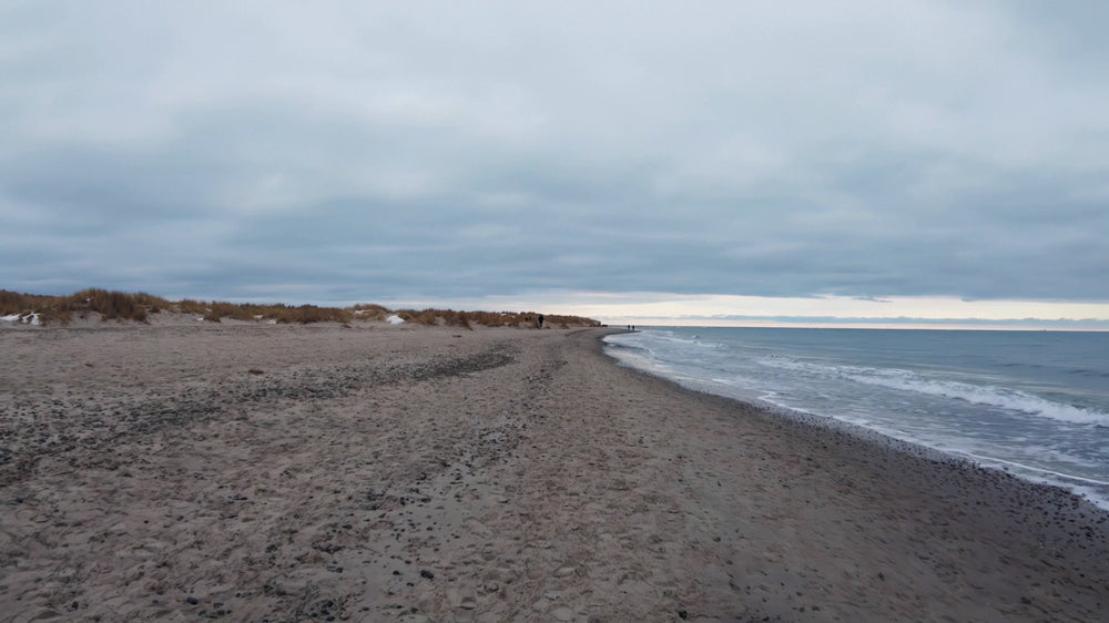 Erlebnismodul Hafen & Strandspaziergang