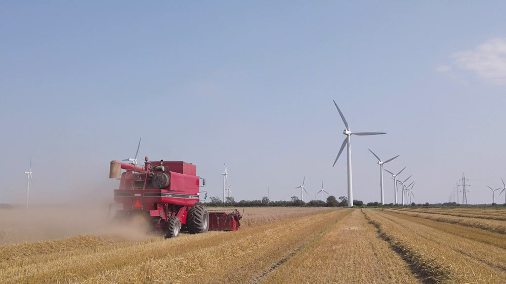 Erlebnismodul Landwirtschaft