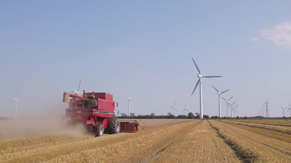 Erlebnismodul Landwirtschaft