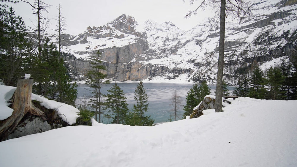 Erlebnismodul Winterspaziergang Schweiz
